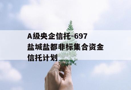 A级央企信托-697盐城盐都非标集合资金信托计划