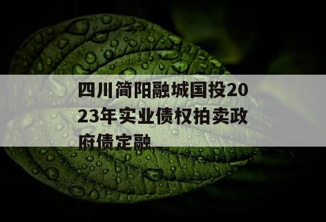 四川简阳融城国投2023年实业债权拍卖政府债定融