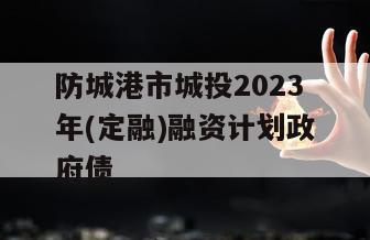 防城港市城投2023年(定融)融资计划政府债