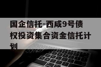 国企信托-西咸9号债权投资集合资金信托计划