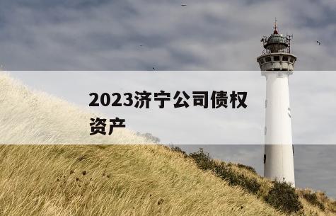 2023济宁公司债权资产