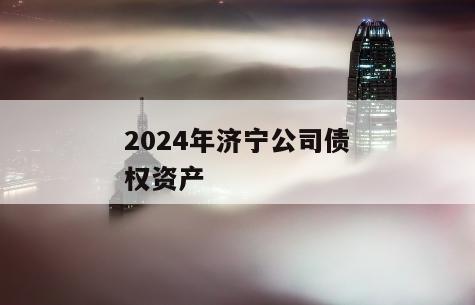 2024年济宁公司债权资产