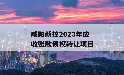咸阳新控2023年应收账款债权转让项目