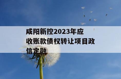 咸阳新控2023年应收账款债权转让项目政信定融