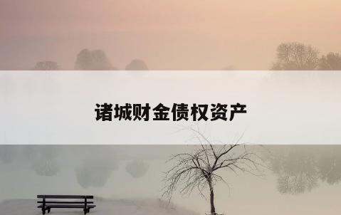 诸城财金债权资产