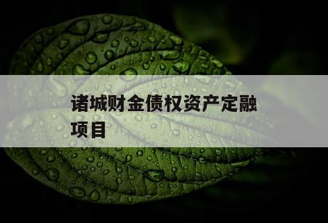 诸城财金债权资产定融项目