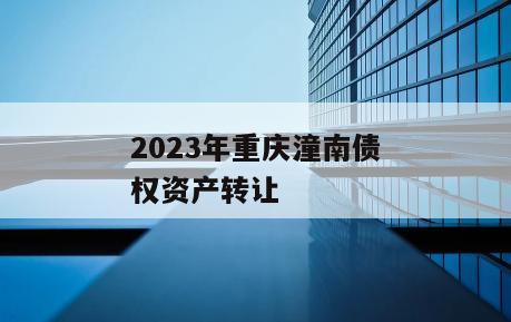 2023年重庆潼南债权资产转让
