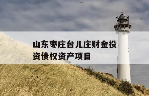 山东枣庄台儿庄财金投资债权资产项目