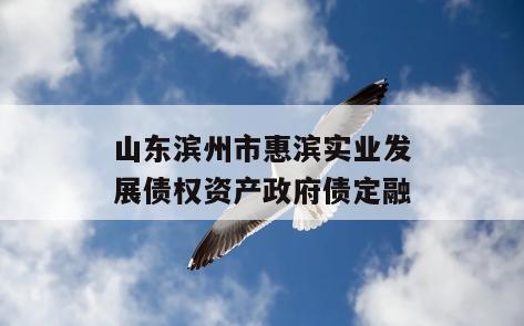 山东滨州市惠滨实业发展债权资产政府债定融