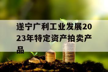 遂宁广利工业发展2023年特定资产拍卖产品