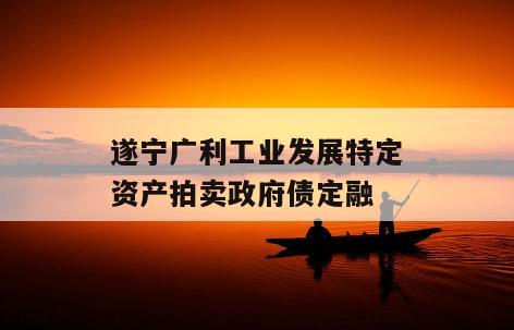 遂宁广利工业发展特定资产拍卖政府债定融