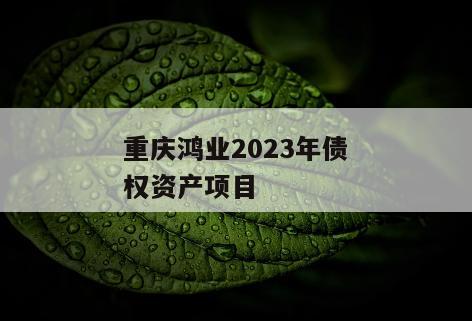 重庆鸿业2023年债权资产项目