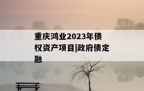 重庆鸿业2023年债权资产项目|政府债定融