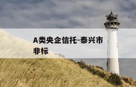 A类央企信托-泰兴市非标