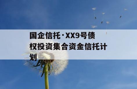 国企信托·XX9号债权投资集合资金信托计划
