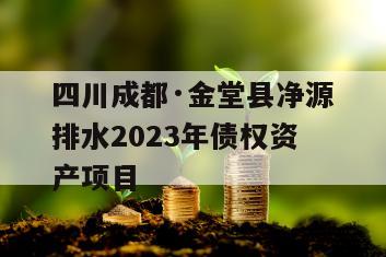 四川成都·金堂县净源排水2023年债权资产项目