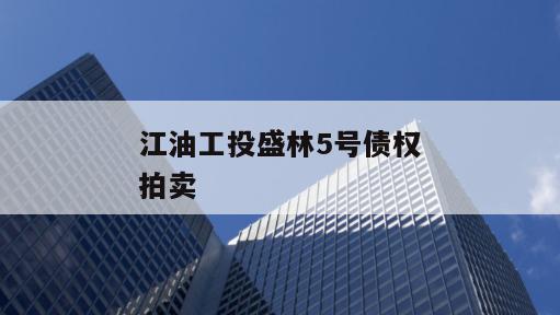 江油工投盛林5号债权拍卖