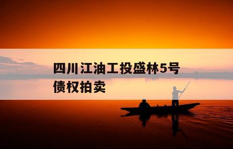 四川江油工投盛林5号债权拍卖