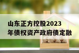 山东正方控股2023年债权资产政府债定融