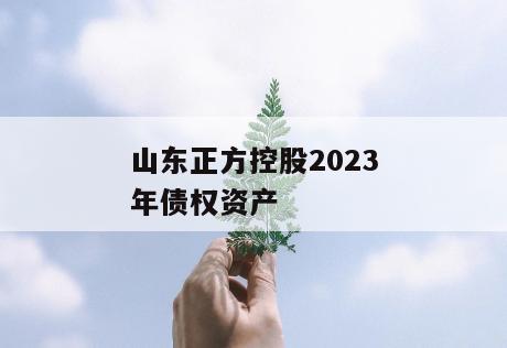 山东正方控股2023年债权资产