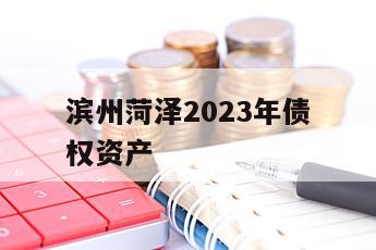 滨州菏泽2023年债权资产