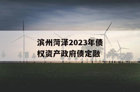 滨州菏泽2023年债权资产政府债定融