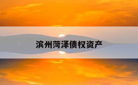 滨州菏泽债权资产