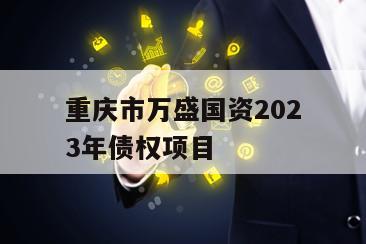 重庆市万盛国资2023年债权项目