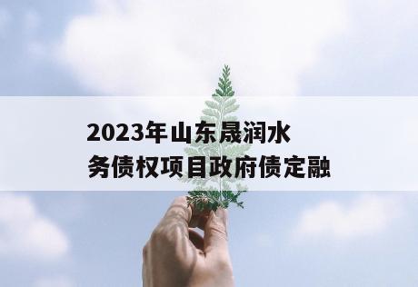 2023年山东晟润水务债权项目政府债定融