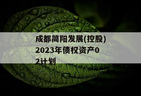 成都简阳发展(控股)2023年债权资产02计划