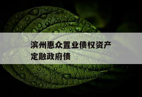滨州惠众置业债权资产定融政府债