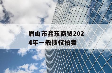 眉山市鑫东商贸2024年一般债权拍卖