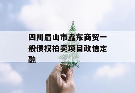 四川眉山市鑫东商贸一般债权拍卖项目政信定融
