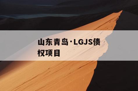 山东青岛·LGJS债权项目