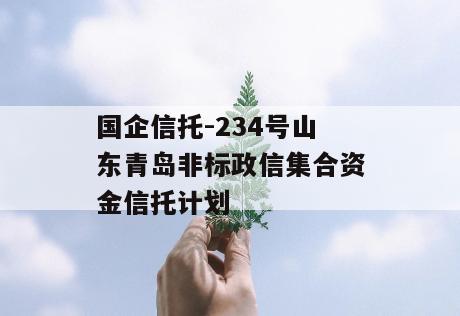 国企信托-234号山东青岛非标政信集合资金信托计划