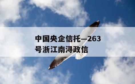 中国央企信托—263号浙江南浔政信