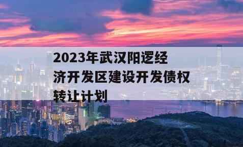 2023年武汉阳逻经济开发区建设开发债权转让计划