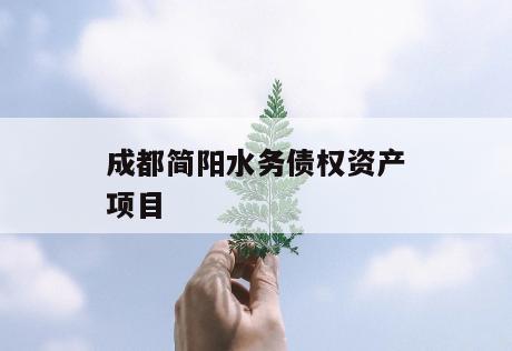 成都简阳水务债权资产项目
