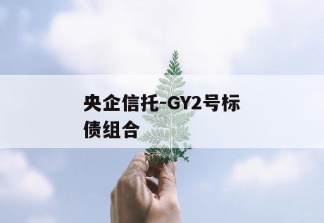 央企信托-GY2号标债组合
