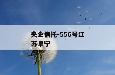 央企信托-556号江苏阜宁