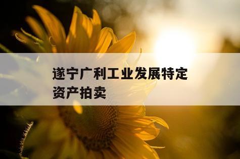 遂宁广利工业发展特定资产拍卖