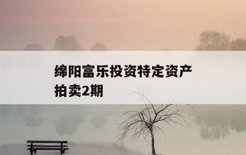 绵阳富乐投资特定资产拍卖2期