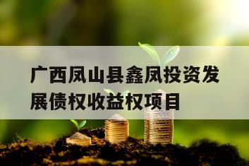 广西凤山县鑫凤投资发展债权收益权项目