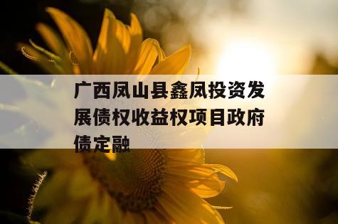 广西凤山县鑫凤投资发展债权收益权项目政府债定融