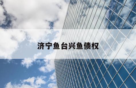 济宁鱼台兴鱼债权