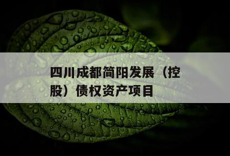 四川成都简阳发展（控股）债权资产项目