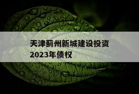 天津蓟州新城建设投资2023年债权