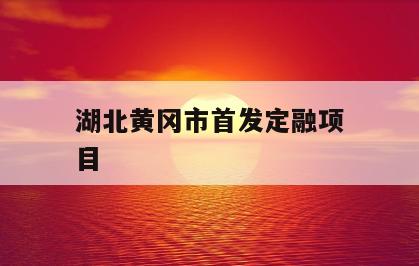 湖北黄冈市首发定融项目