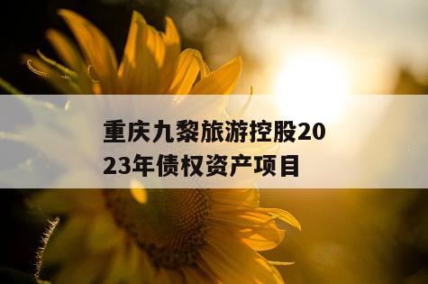 重庆九黎旅游控股2023年债权资产项目