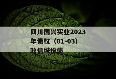 四川国兴实业2023年债权（01-03）政信城投债